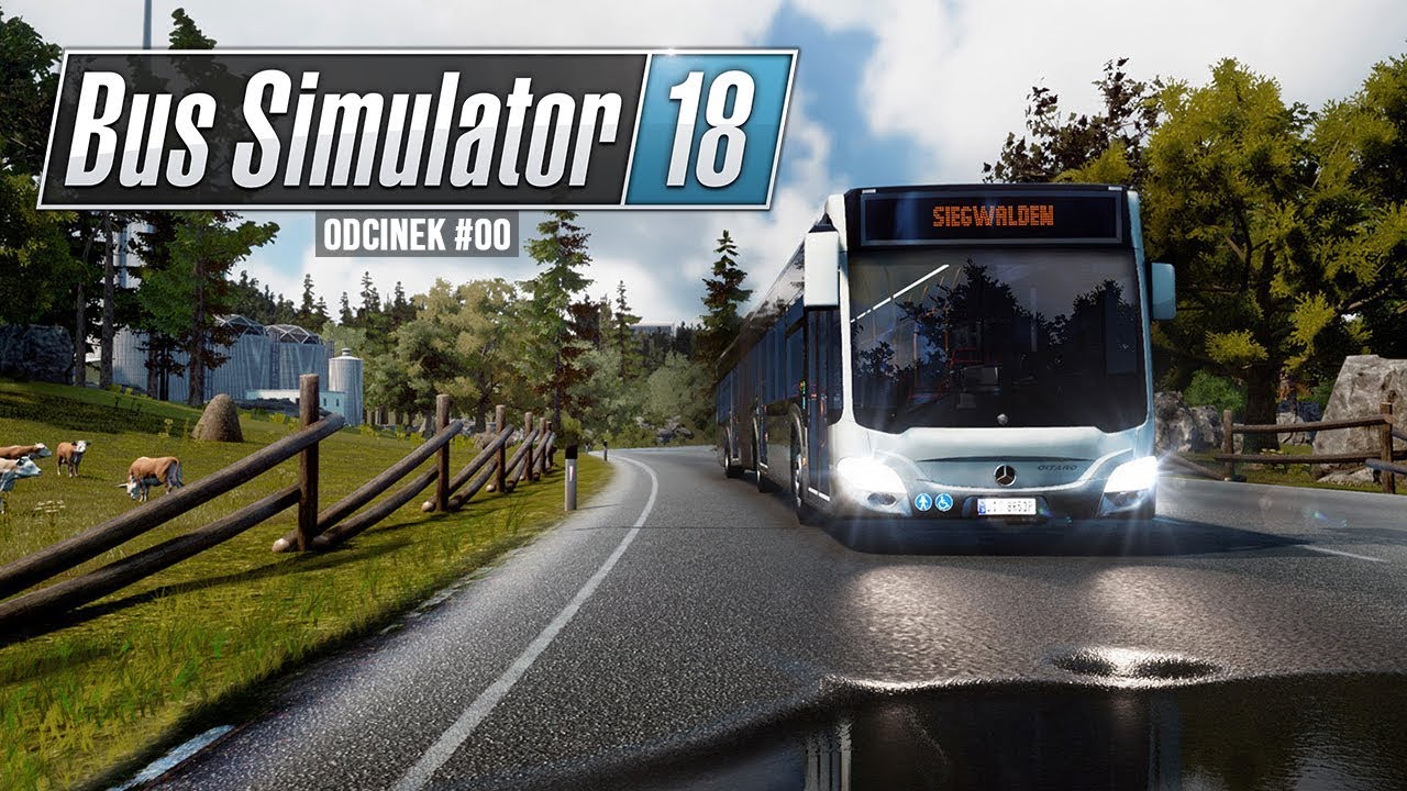 Bus Simulator 18 | LINIA NOCNA #0