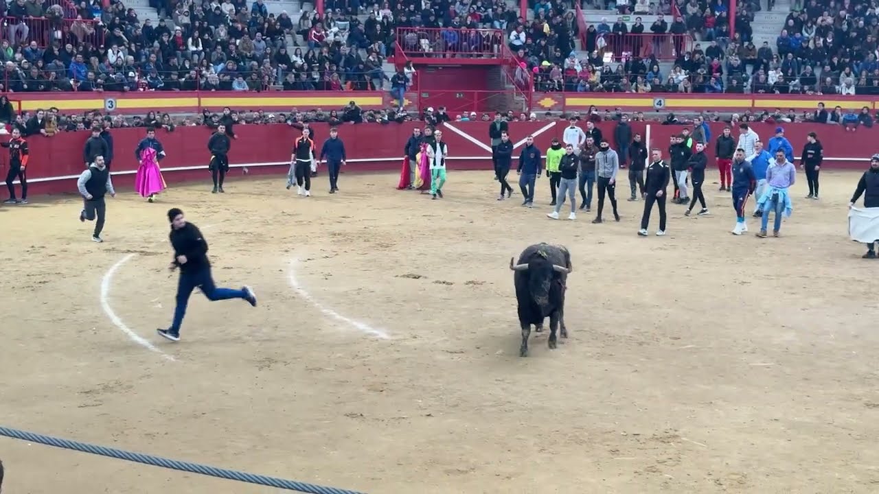 🎥 RESUMEN AMPLIO del ENCIERRO VALDEMORILLO DOMINGO 8-02-26