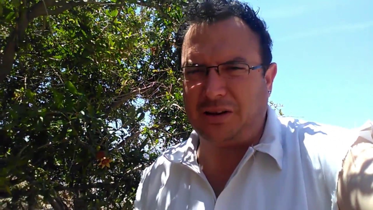 ποτιστρα μελισσων καθαρισμος νερου. (μερος 3)