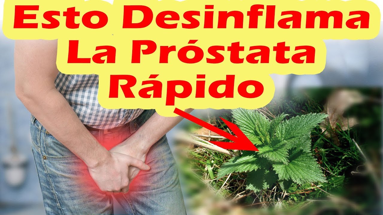Como Desinflamar La Pr&oacute;stata Con Remedios Caseros - PR&Oacute;STATA INFLAMADA TRATAMIENTO NATURAL