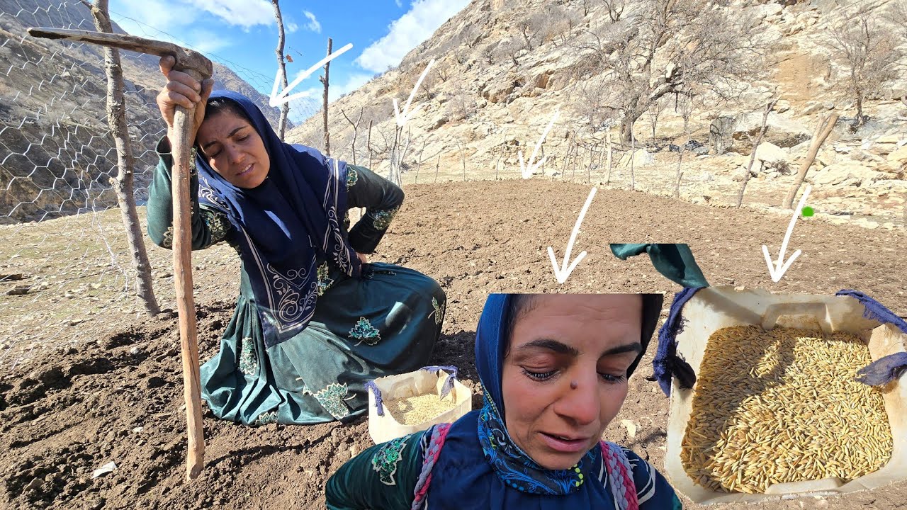Innocent Disease in the Heart of Nature: The Challenges of Life and Agriculture in a Remote Area 🌾💔