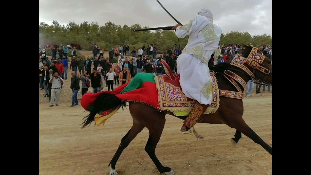 سيدي رابح ذكر البردة ولاد تليل