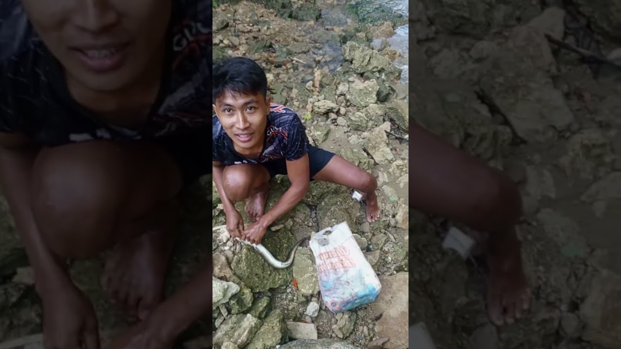 IGAT HUNTER||MRSNOTA VLOGS  #fypシ゚viral #highlights #igathunter #buhayprobinsya #pagkaingprobinsya 
