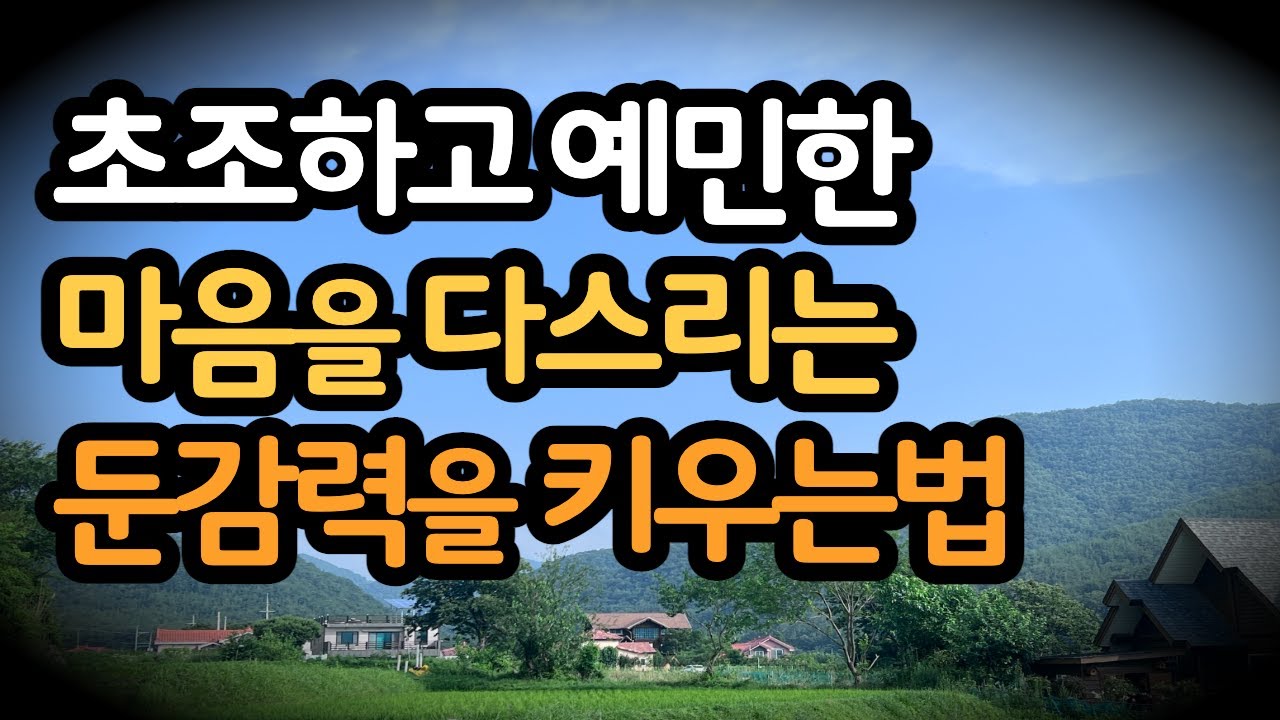 나는 둔감하게 살기로했다 / 초조하고 예민한 마음을 다스리는 둔감력을 키우는법