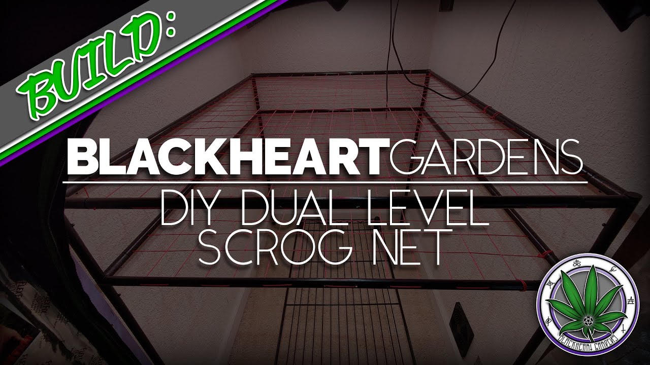 Building a DIY Dual Level SCROG Net for the Flower Room