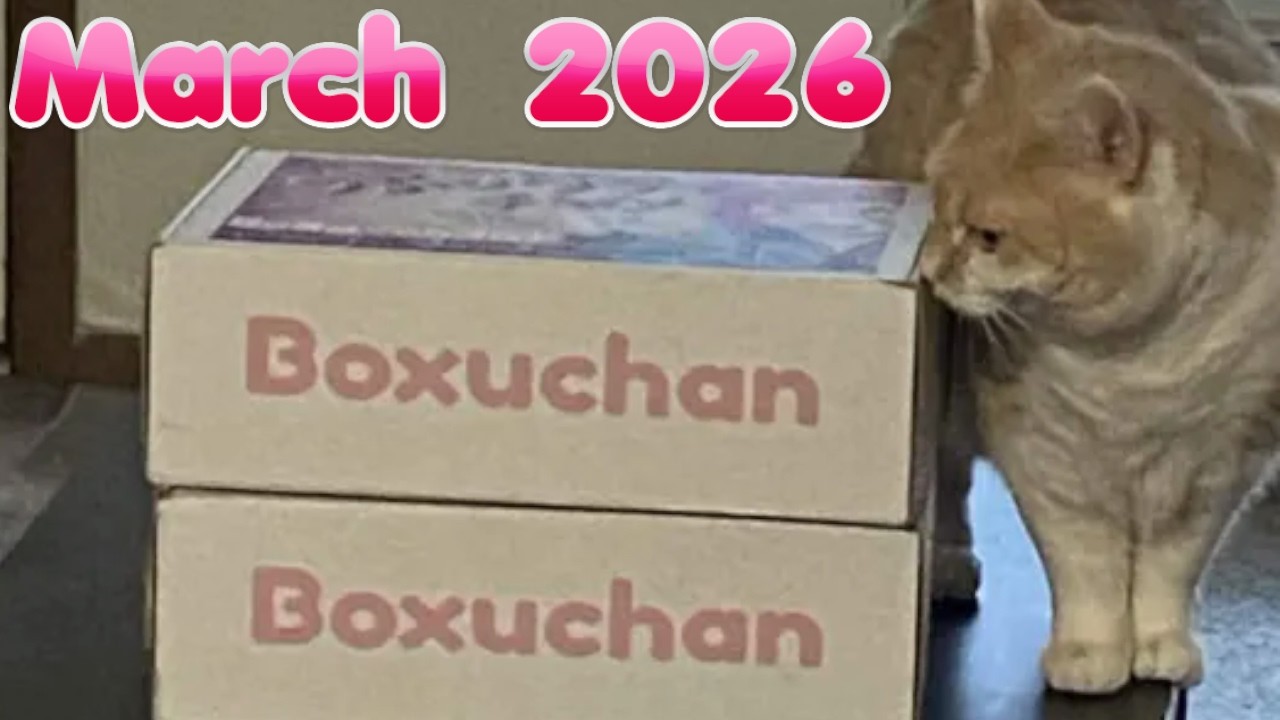 Boxuchan March 2026 Unboxing!