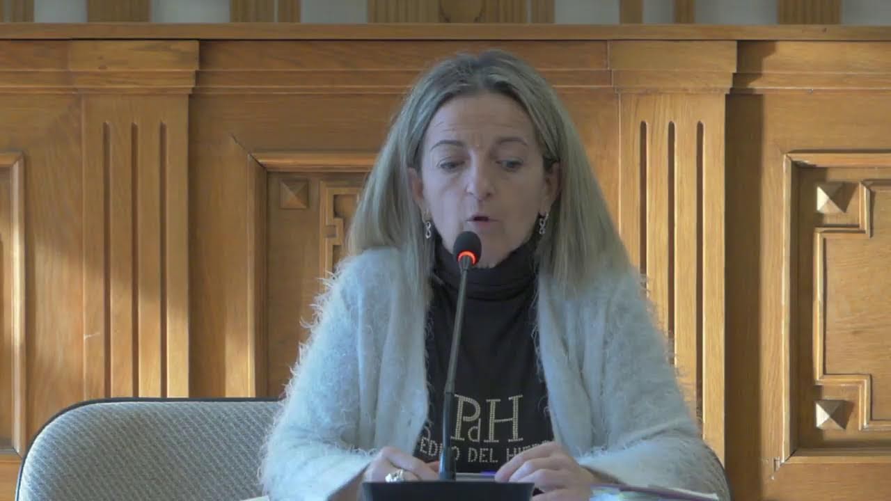 Pleno Extraordinario Ayuntamiento de Lerín 27-11-2024