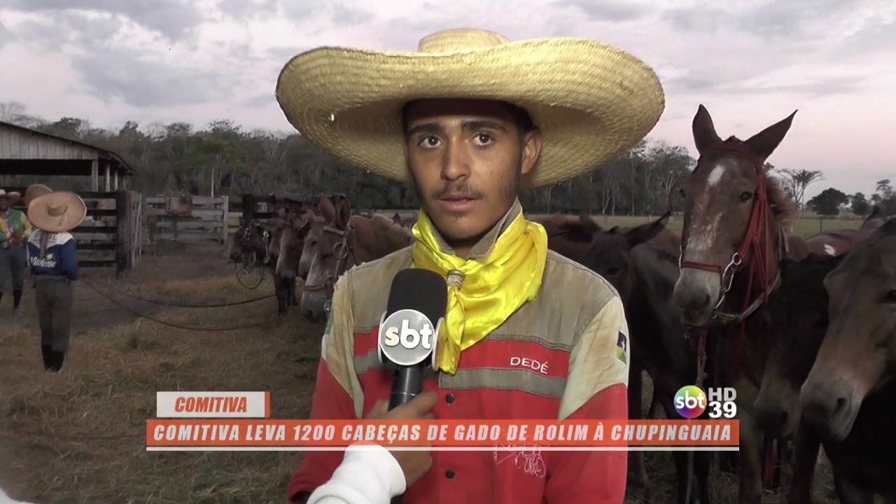 Comitiva leva 1200 cabe&ccedil;as de gado de Rolim de Moura &agrave; Chupinguaia