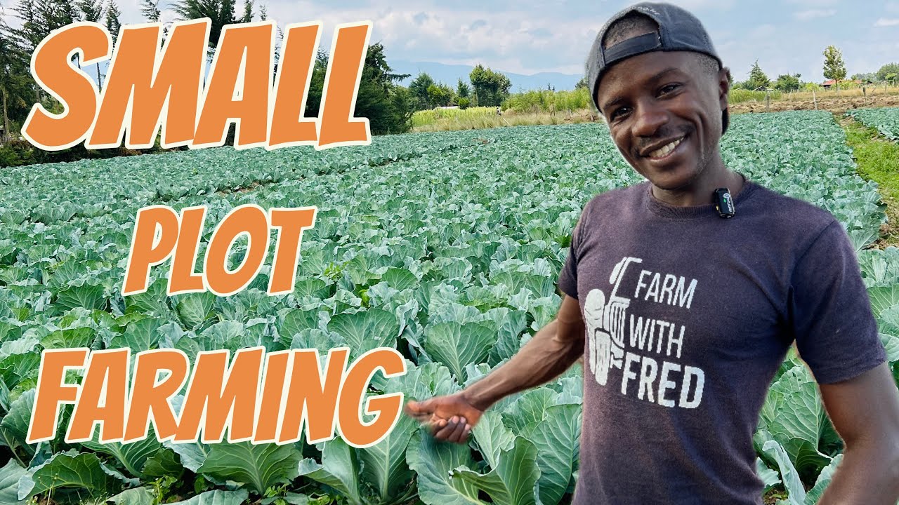 The magic of small plot farming and good returns