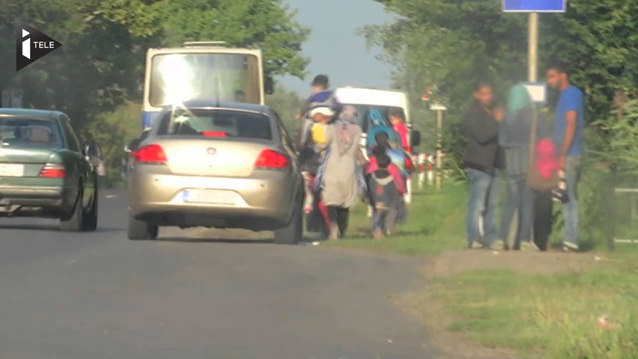 A la frontière serbo-hongroise, le business des passeurs