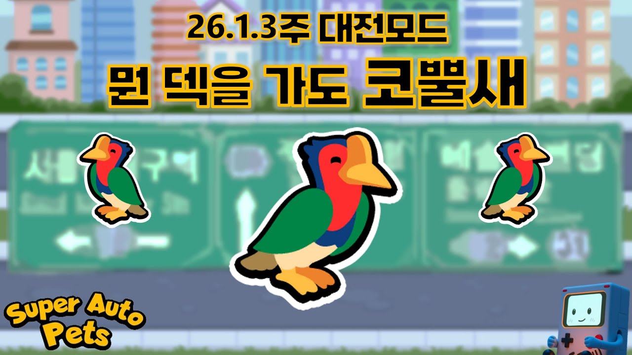기승전 투구코뿔새 [슈퍼오토펫-대전모드26.1.3주]