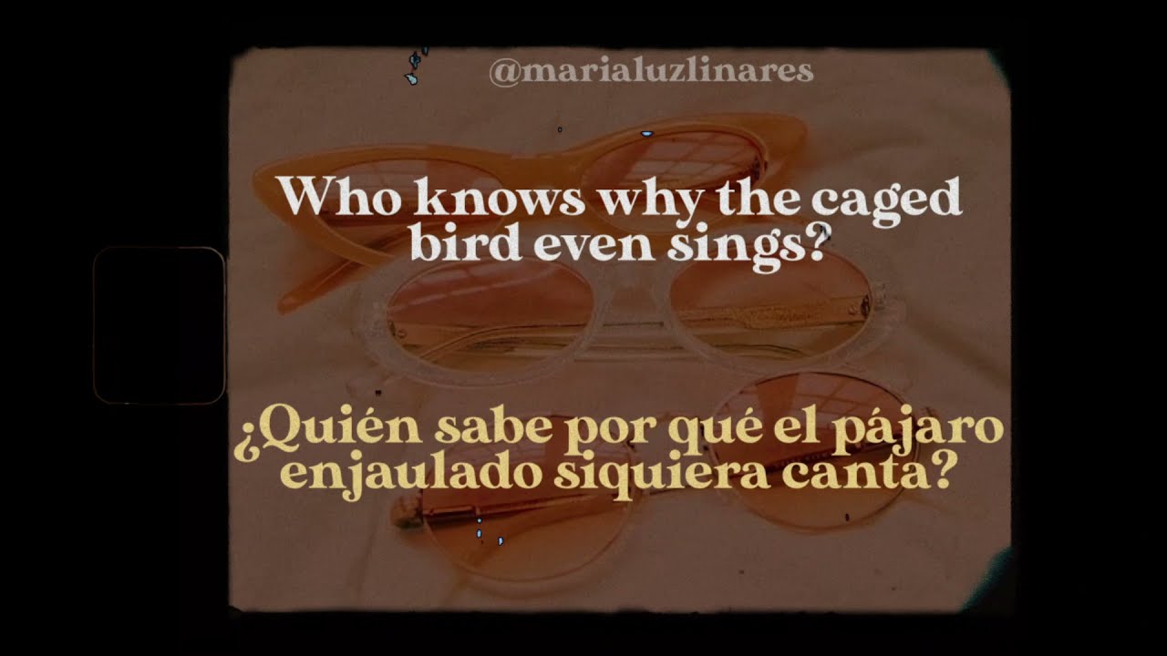 ❗️candy darling - st. vincent (lyrics/español) ❗️