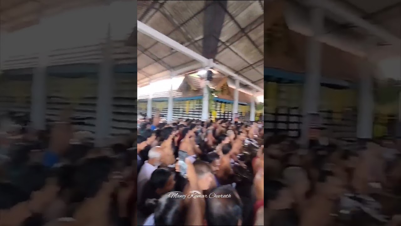 Thiruvilwamala Niramala Maholsavam- Pancharimelam #Thiruvilwamala #festival #temple #elephant