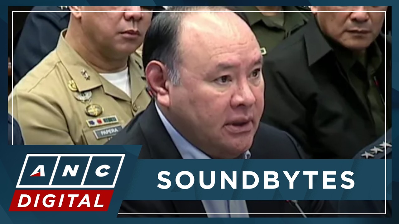 WATCH: DND Sec. Teodoro objects to Chinese envoy's remarks, WPS narratives in Senate hearing