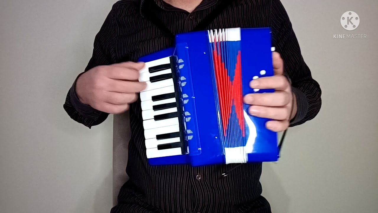 Menino da Porteira acordeon 8 baixos vídeo aula