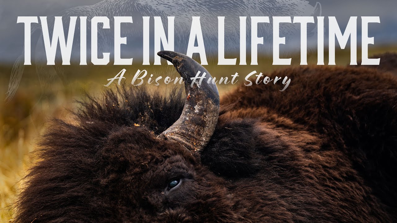 2 BISON DOWN - EPIC Once-in-a-Lifetime Wyoming Bison Hunt