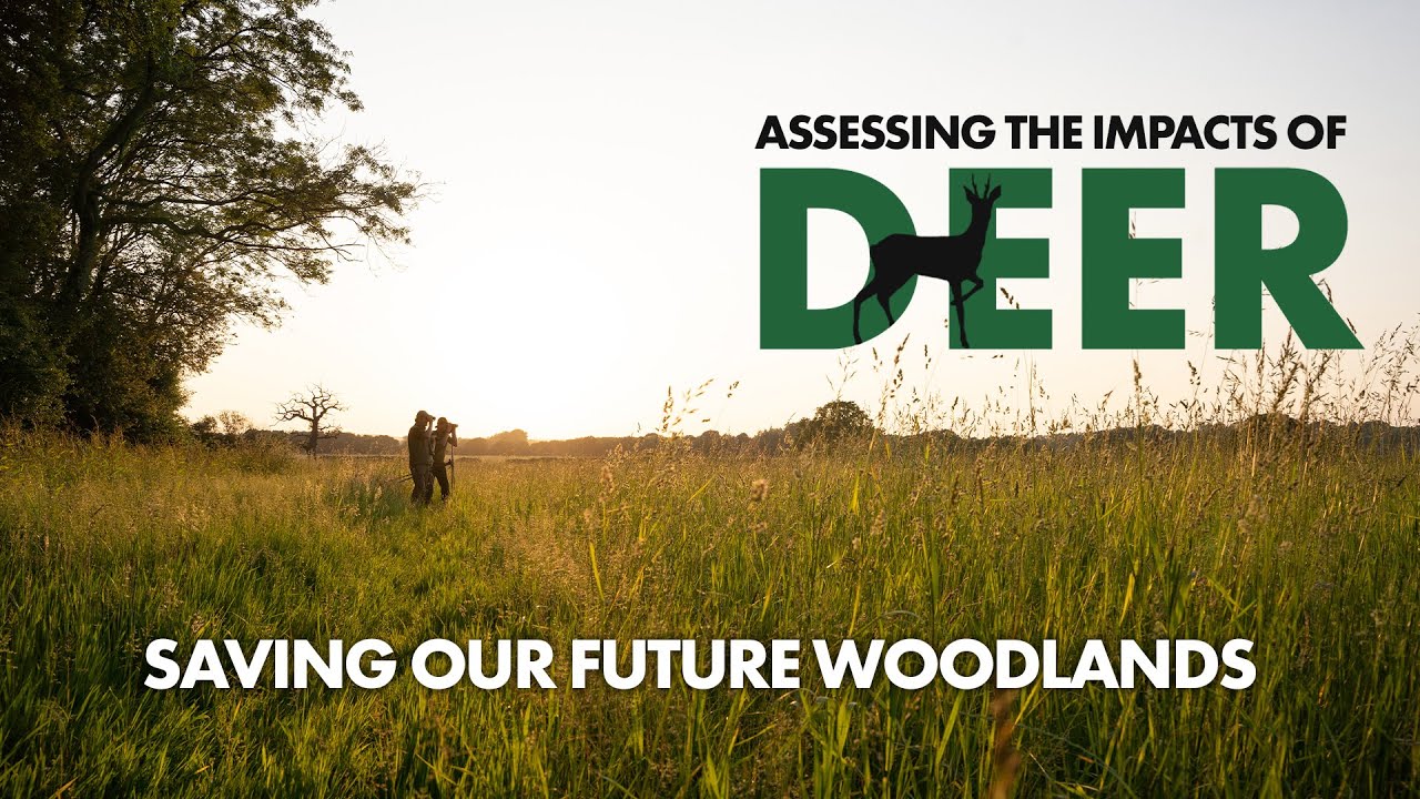 Deer Damage In Our Woodlands: CWS1 Deer Impact & Activity Survey