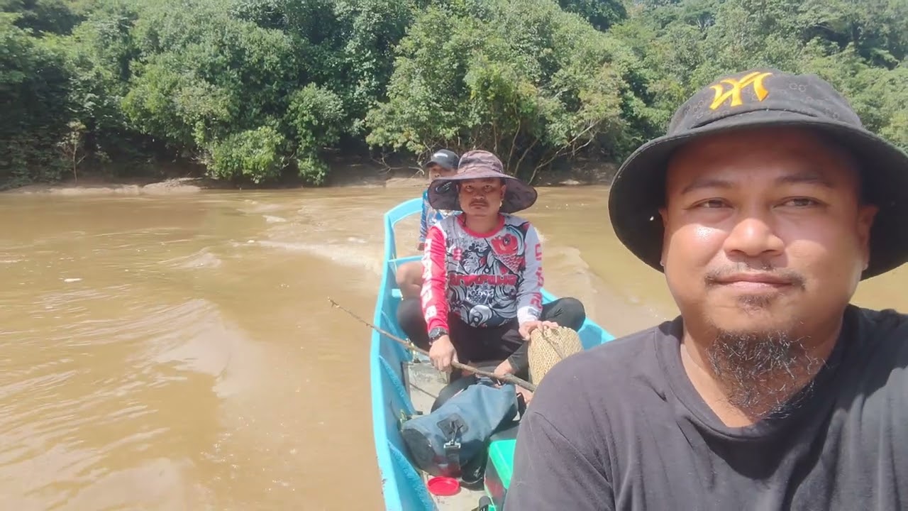 Mancing ikan baung di sungai belaga