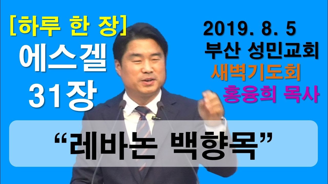[하루 한 장] 에스겔31장_레바논 백향목