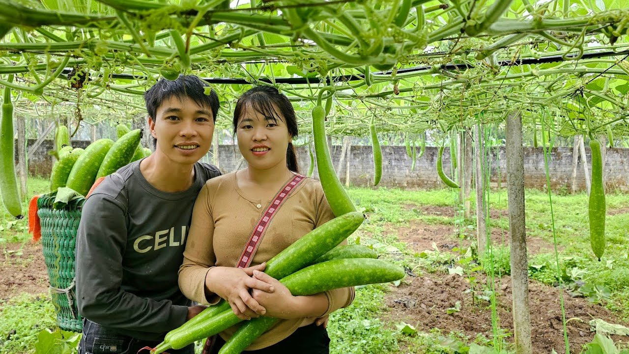 In the countryside, the couple harvests green gourds and cantaloupes to sell at the market.