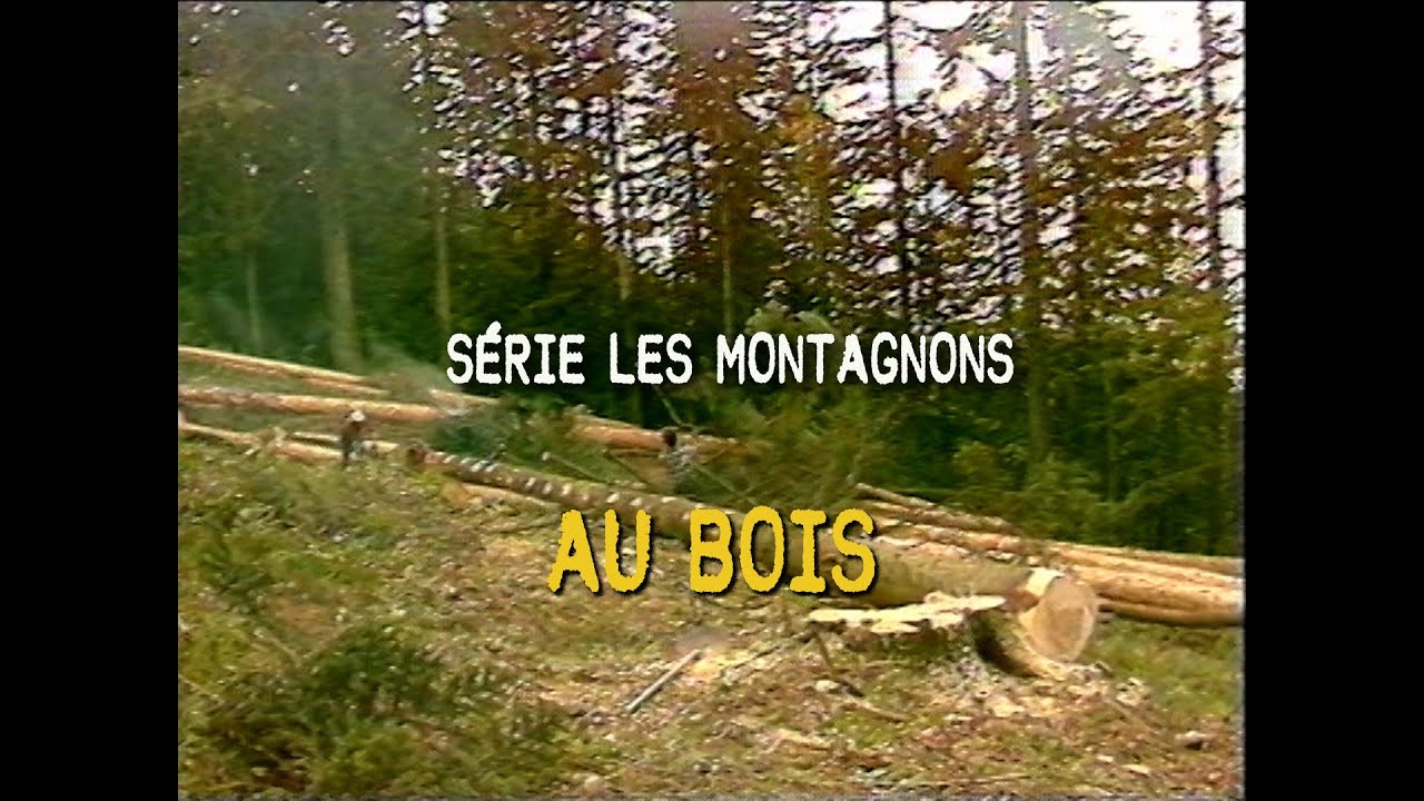 AU BOIS | Archives | Télé Saugeais | 1987