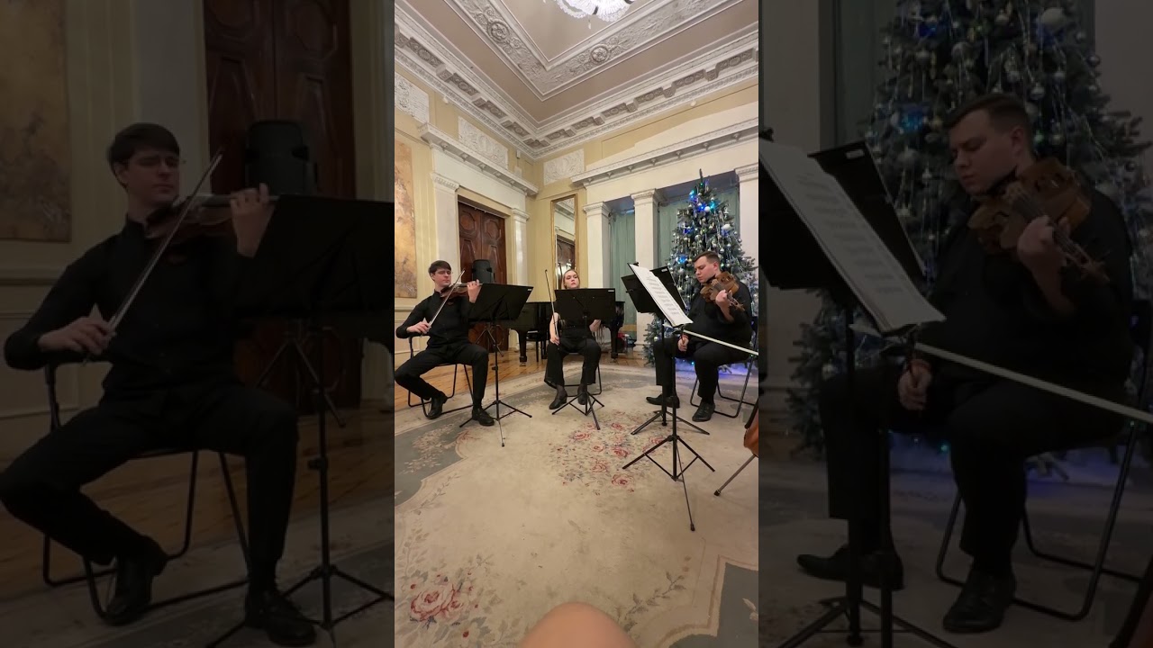 П.И.Чайковский(1840-1893)Элегия памяти И.В. Самарина #classicalmusic #livemusical #tchaikovsky