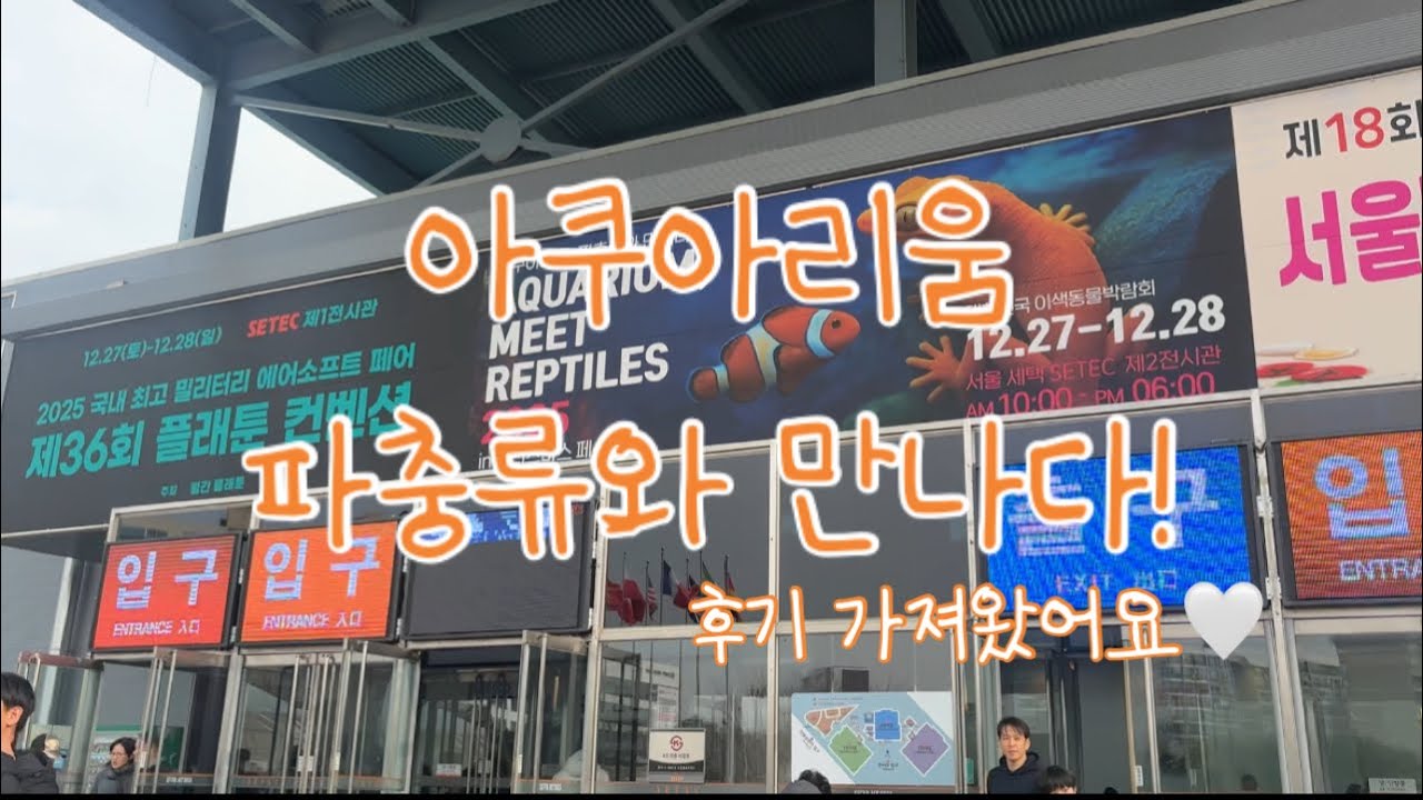 물생활 V-log | 아쿠아리움 파충류와 만나다 | 포토 오브제 | 물고기 사진관 | 관상어 박람회