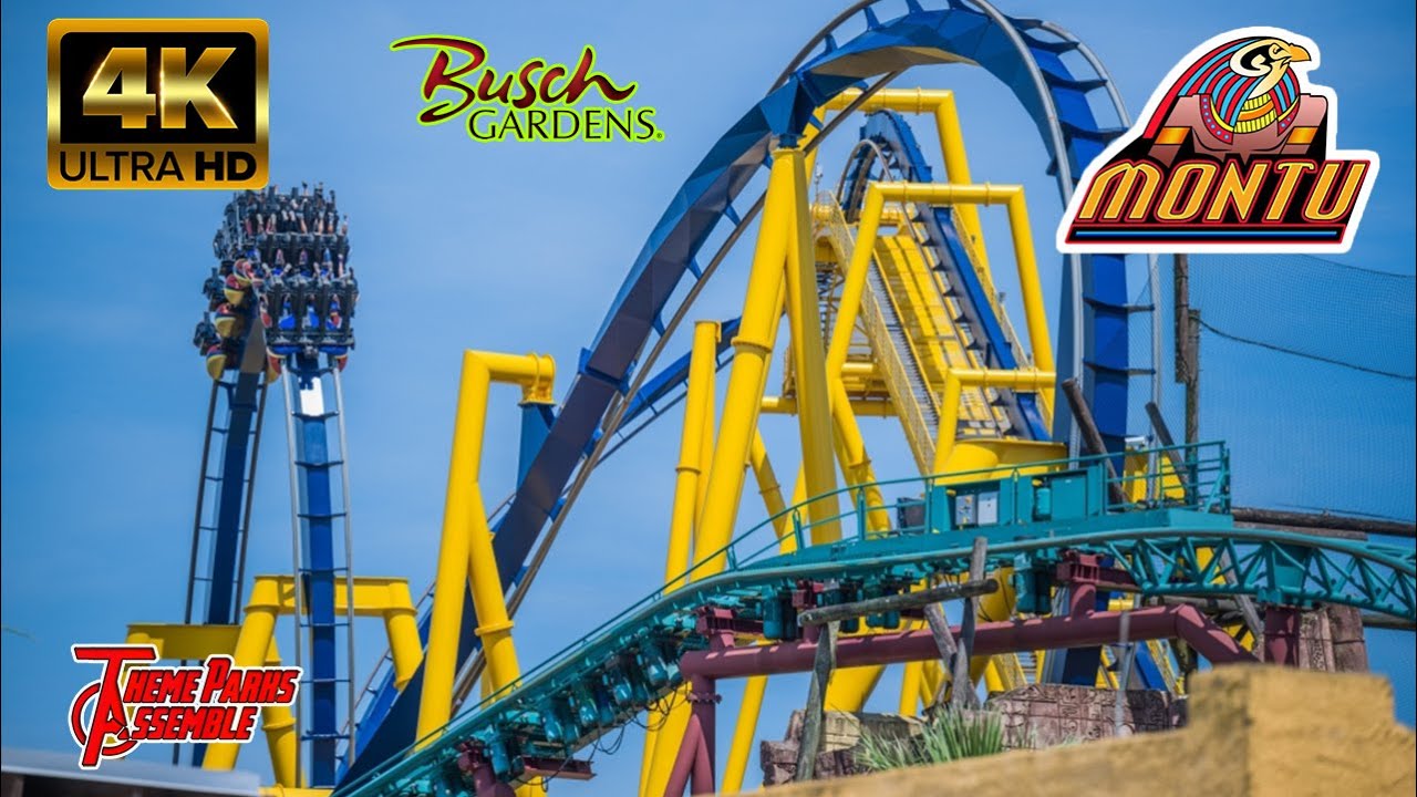 Montu Ride Upscaled in 4K From Stream - Busch Gardens Tampa, FL - July 2024