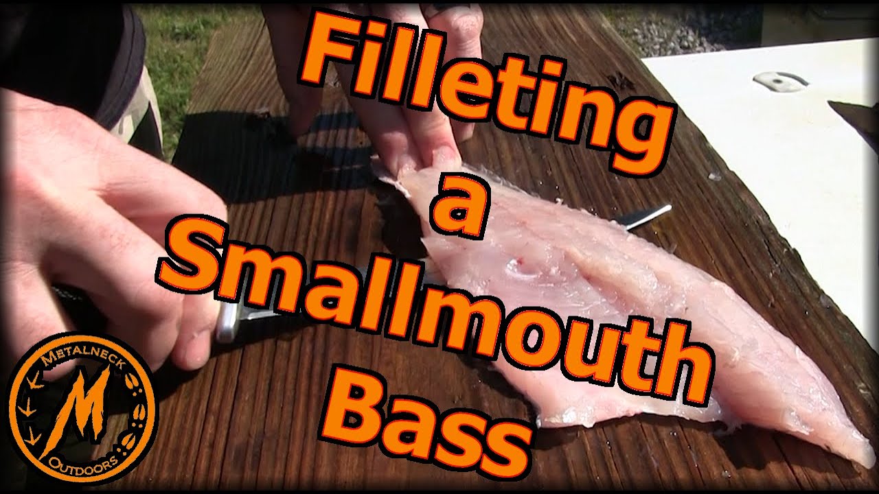How to Fillet a Smallmouth Bass using the Pin bone method