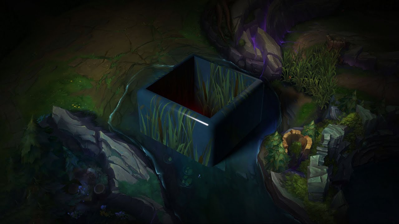 pirate disappear on bush