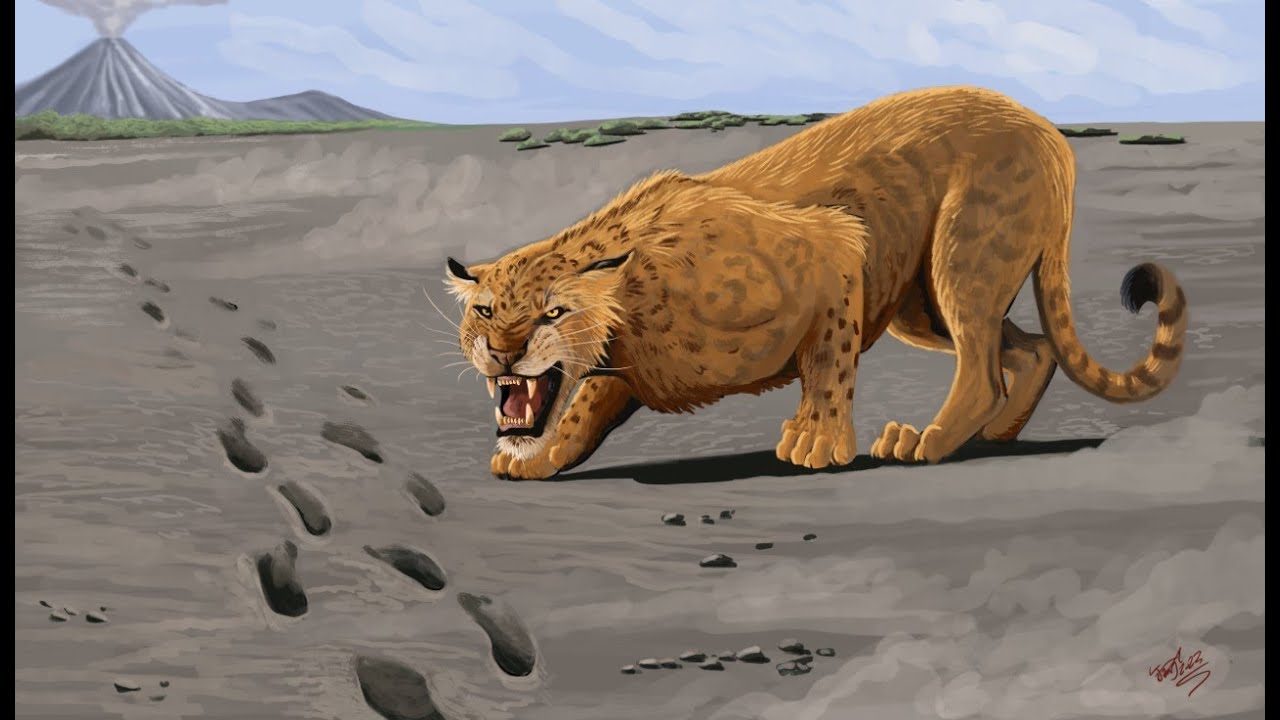 Panthera: The Evolution of the Big Cats