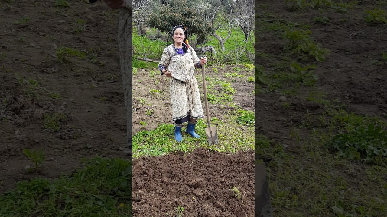 Une grande femme de 84ans hamaidi 3aldjia bravos