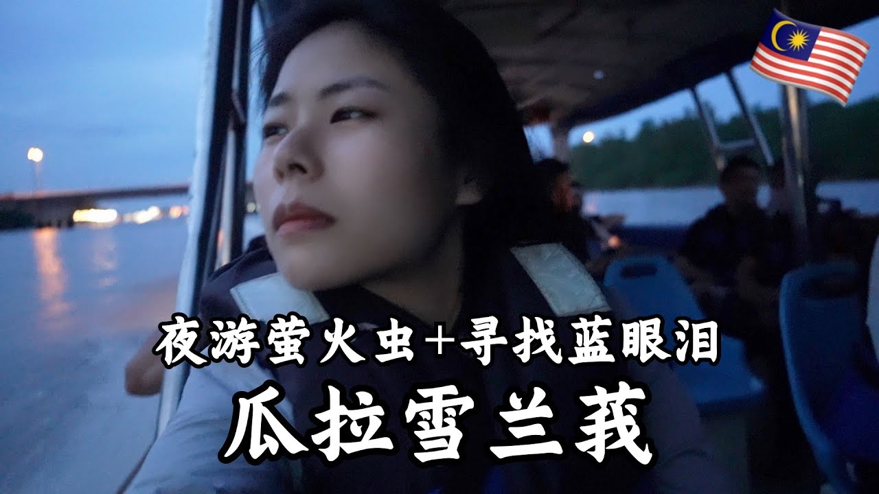 【环马+泰南摩旅 Ep.04】马来西亚瓜拉雪兰莪Kuala Selangor, 夜游萤火虫+寻找蓝眼泪