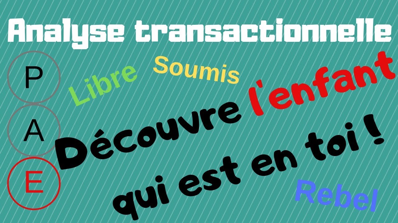 ANALYSE TRANSACTIONNELLE N&deg;3/3 - L'ETAT DU MOI ENFANT