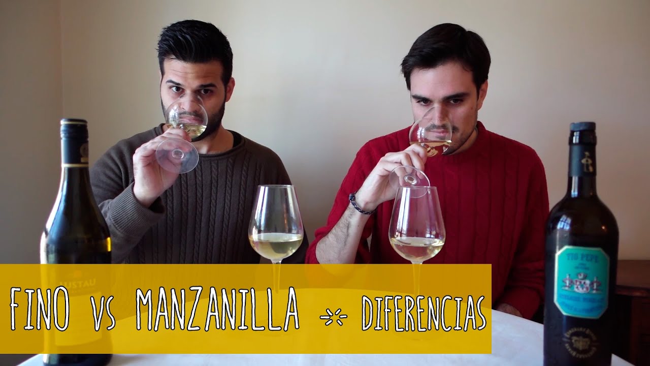 Fino y Manzanilla - Diferencias y similitudes entre dos vinos únicos