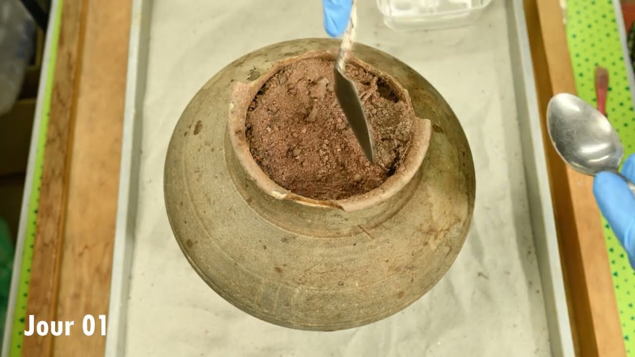 Fouille en laboratoire de l'urne funéraire de Thuin (déc. 2024)