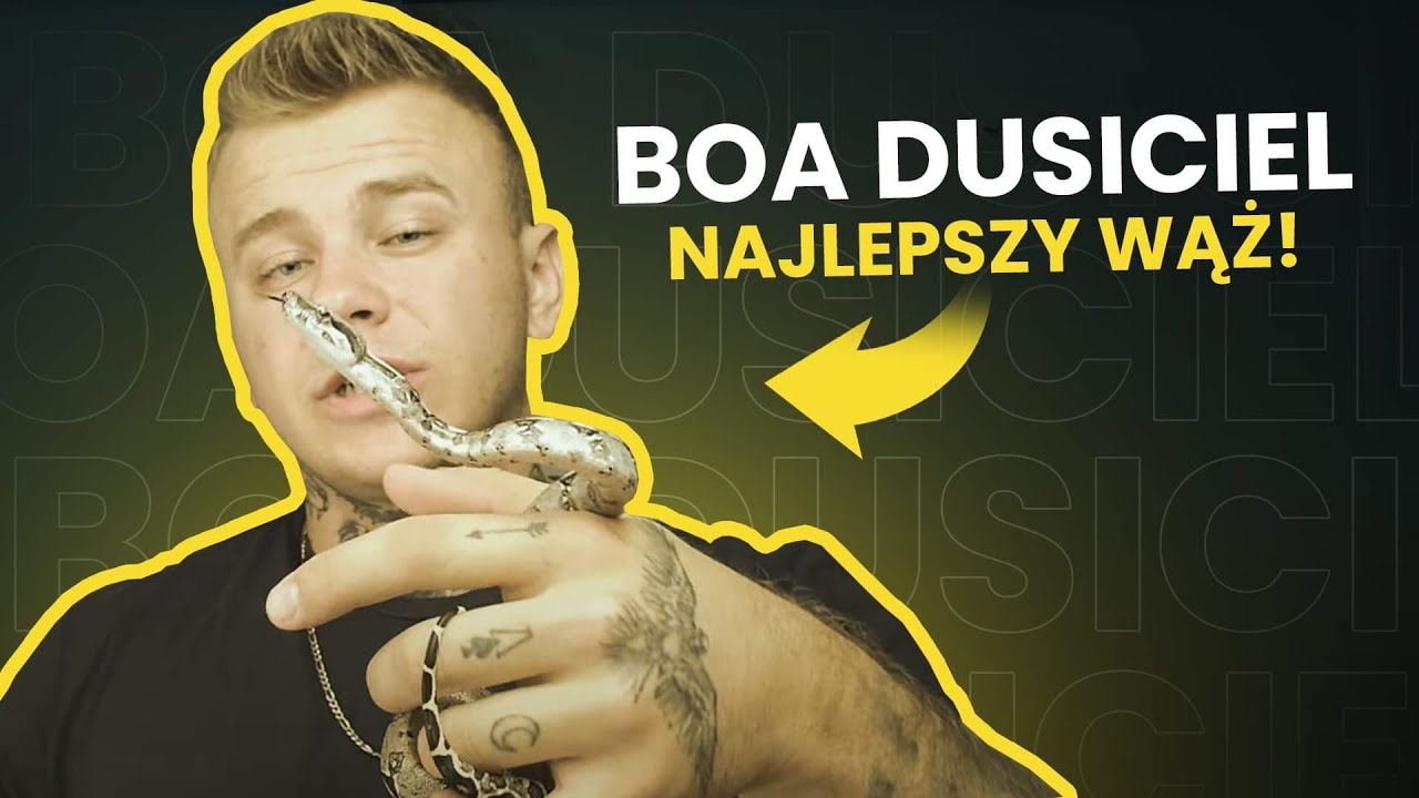BOA DUSICIEL - NAJLEPSZY WĄŻ