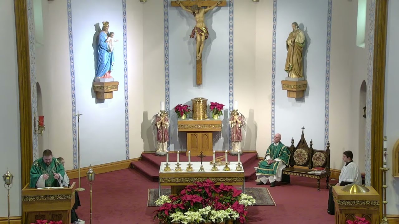 Homily from Holy Mass ~ February 15th