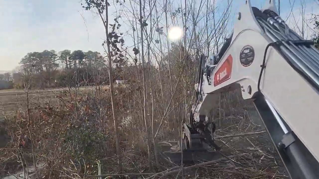 Land Clearing 2026