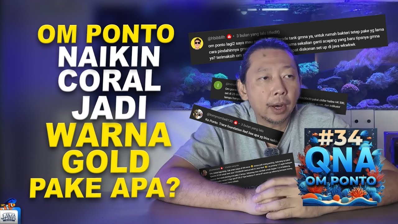 #QNA 34 BARENG OM PONTO - MAU UPGRADE TANK GIMANA CARANYA?!