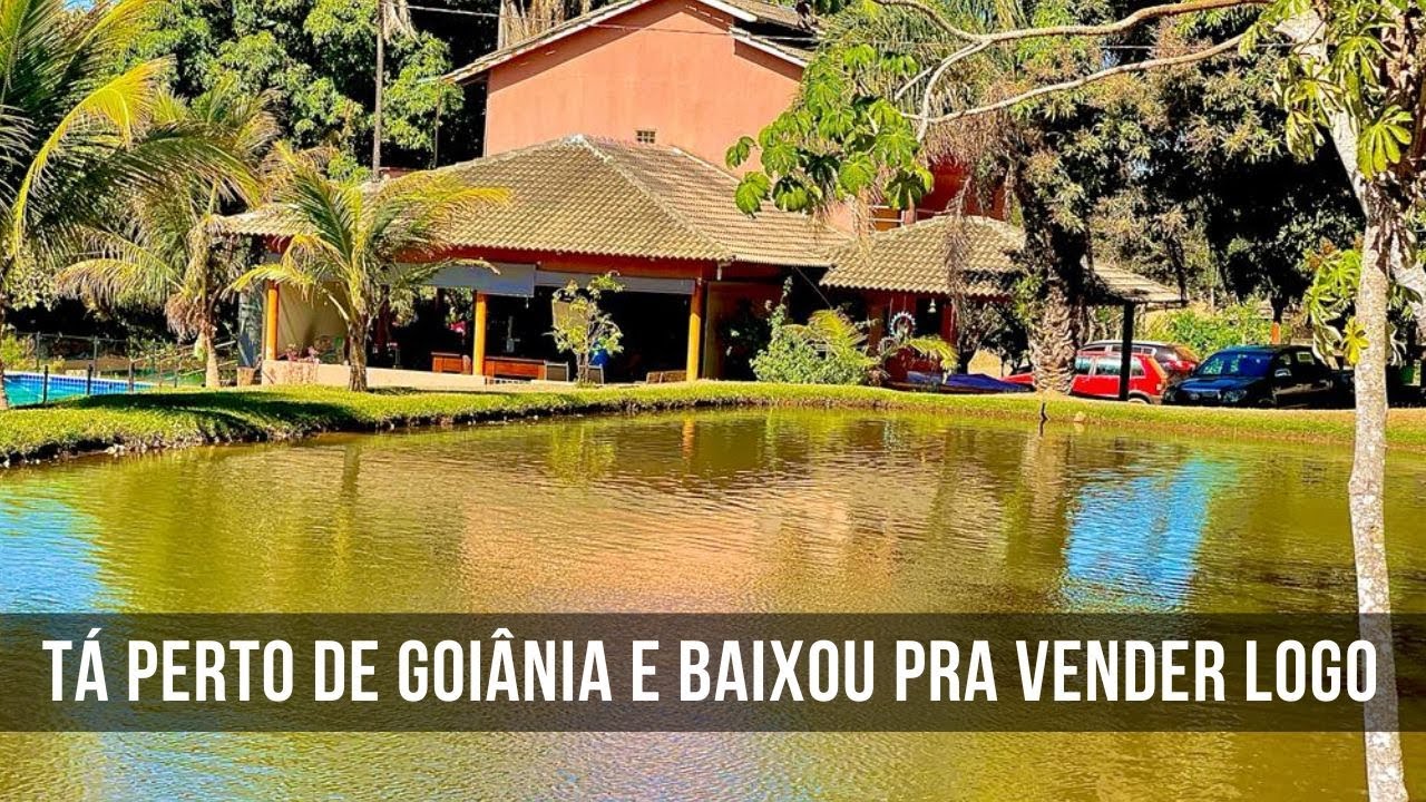 DE 7 POR R$ 6.5 MILHÃO - FAZENDA EM GOIÁS - SEDE TOP - ÁGUA É MATO - DUPLA APTIDÃO - #fazendaavenda