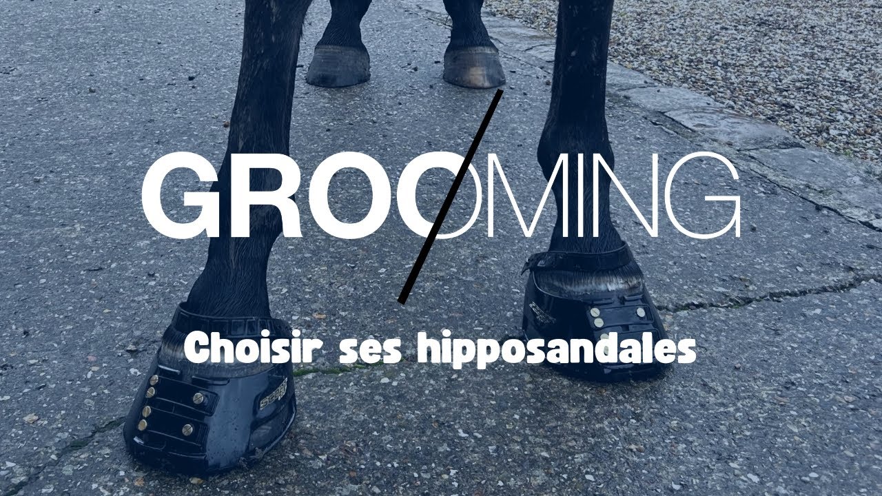 GROOMING 💅 Bien choisir ses hipposandales
