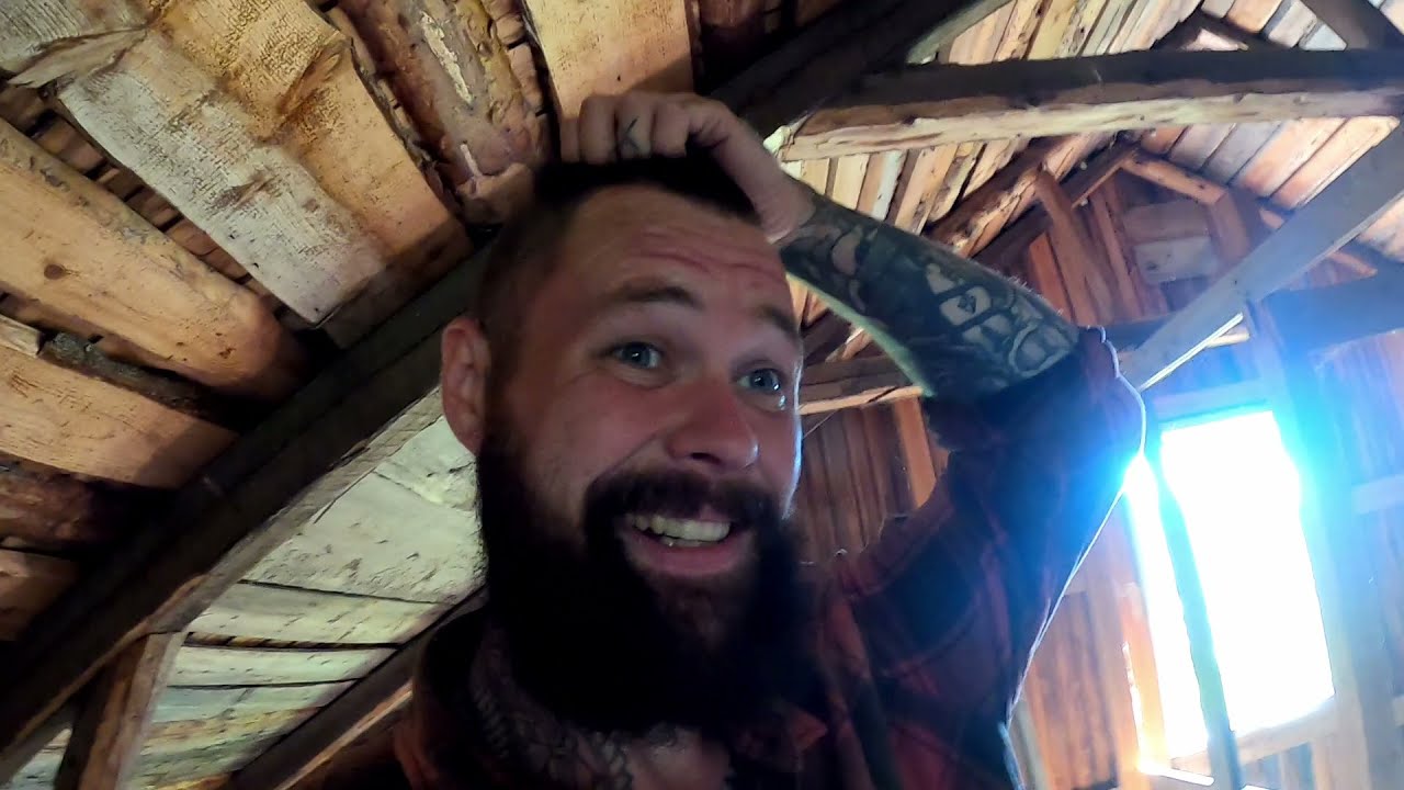 The Runner ducks have arrived!! | Off grid living vlog