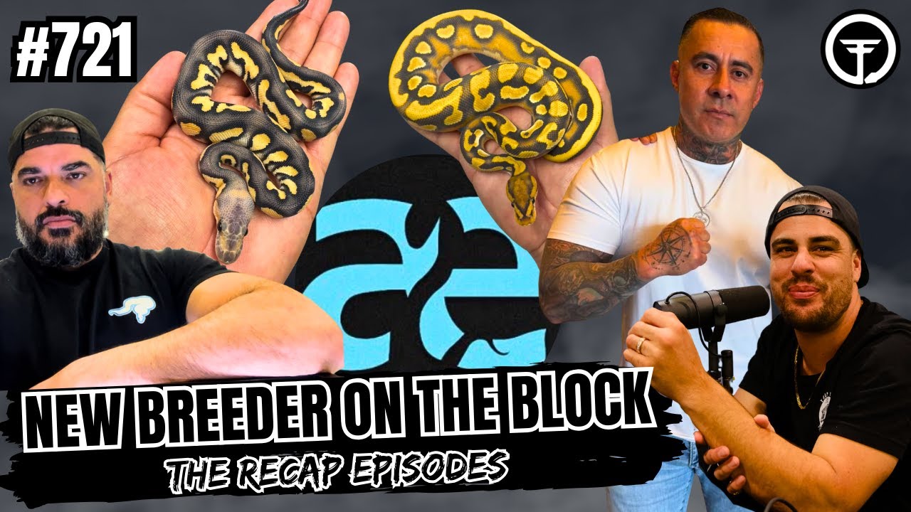 Standing On Big Dog Business All Of 2026 | NBB Recap w/ Always Evolving Pythons