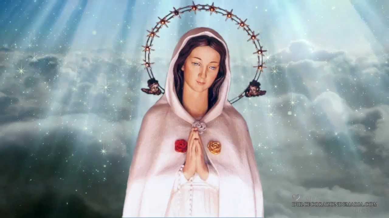 La Virgen Rosa Mística