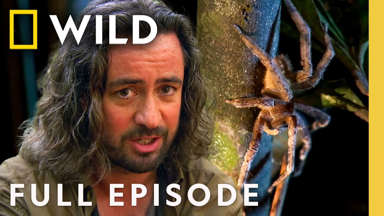 Giant Poisonous Spider: Amazon Terror (Full Episode) | Man v. Monster | Nat Geo Animals