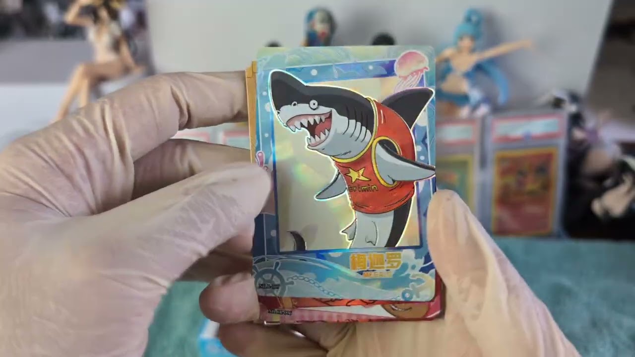 One Piece japanese high class box opening.