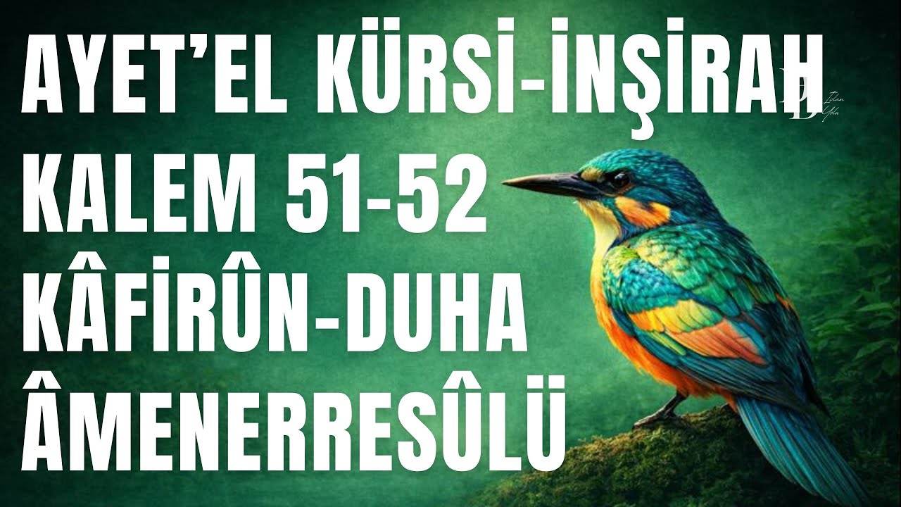 Korunma ve Huzur İçin Dinle | Ayet’el Kürsi & İnşirah | Quran Recitation