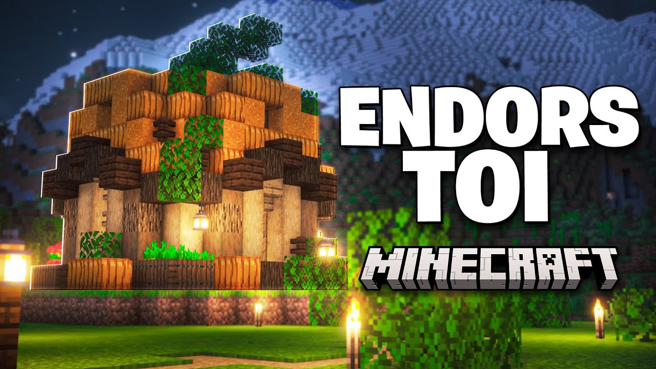 Endors-toi pendant que je joue &agrave; Minecraft