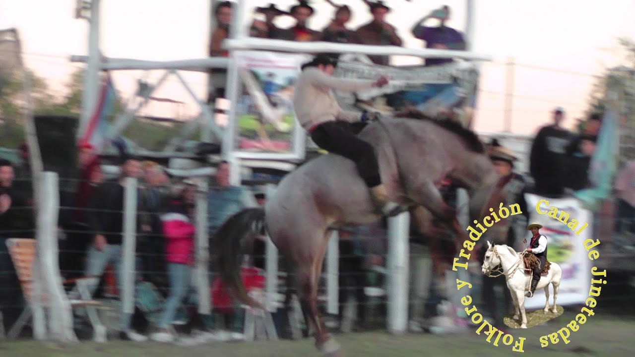 especiales Joquin Griolio y Broche bastos campo Gringo jacobo 2022 #jineteada #caballos #charros